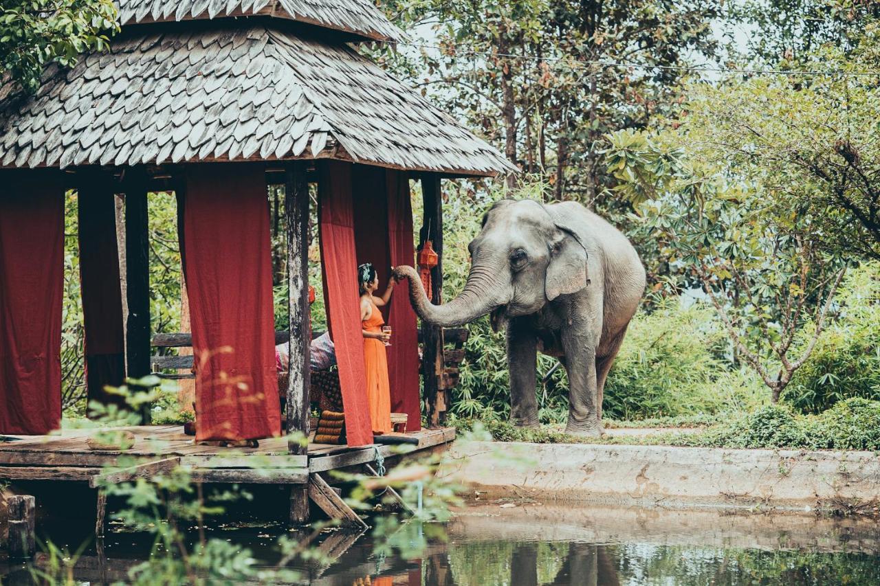 Chai Lai Orchid Chiang Mai Ngoại thất bức ảnh